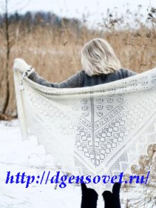 Шаль Вельна